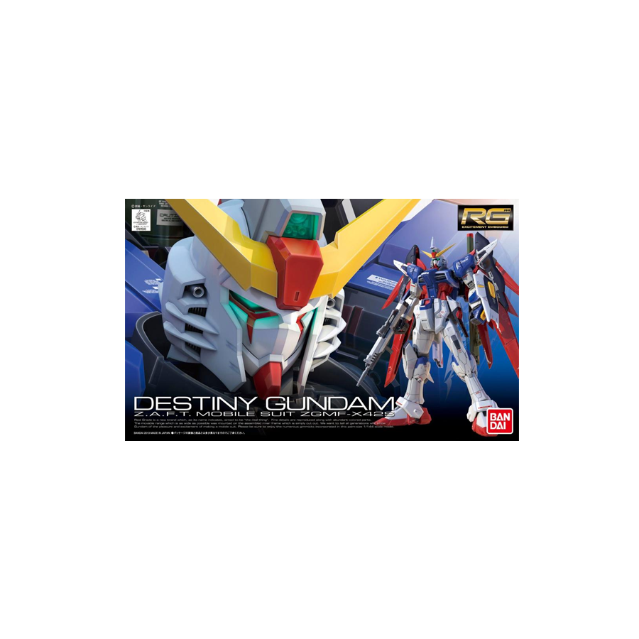 RG Destiny Gundam #11