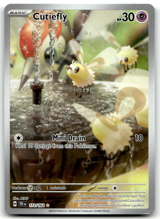 Cutiefly TEF 172/162 NM