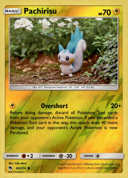 Pachirisu SM8 80/214 NM