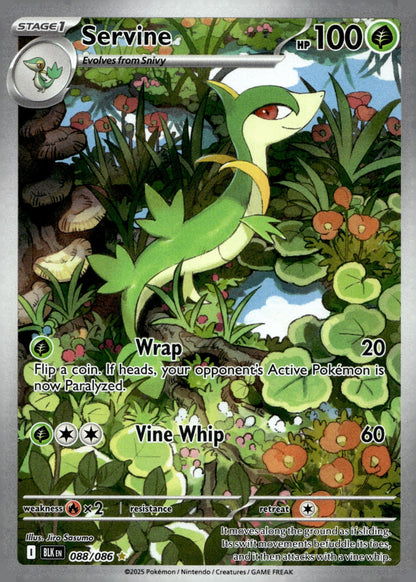 Servine BLK 088/086 NM