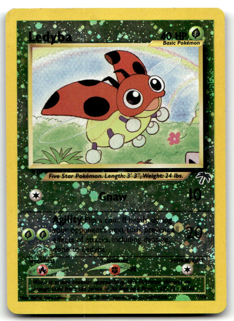 Ledyba SI 07/18 MP