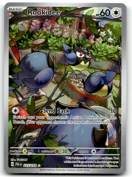 Rookidee PAL 225/193 NM