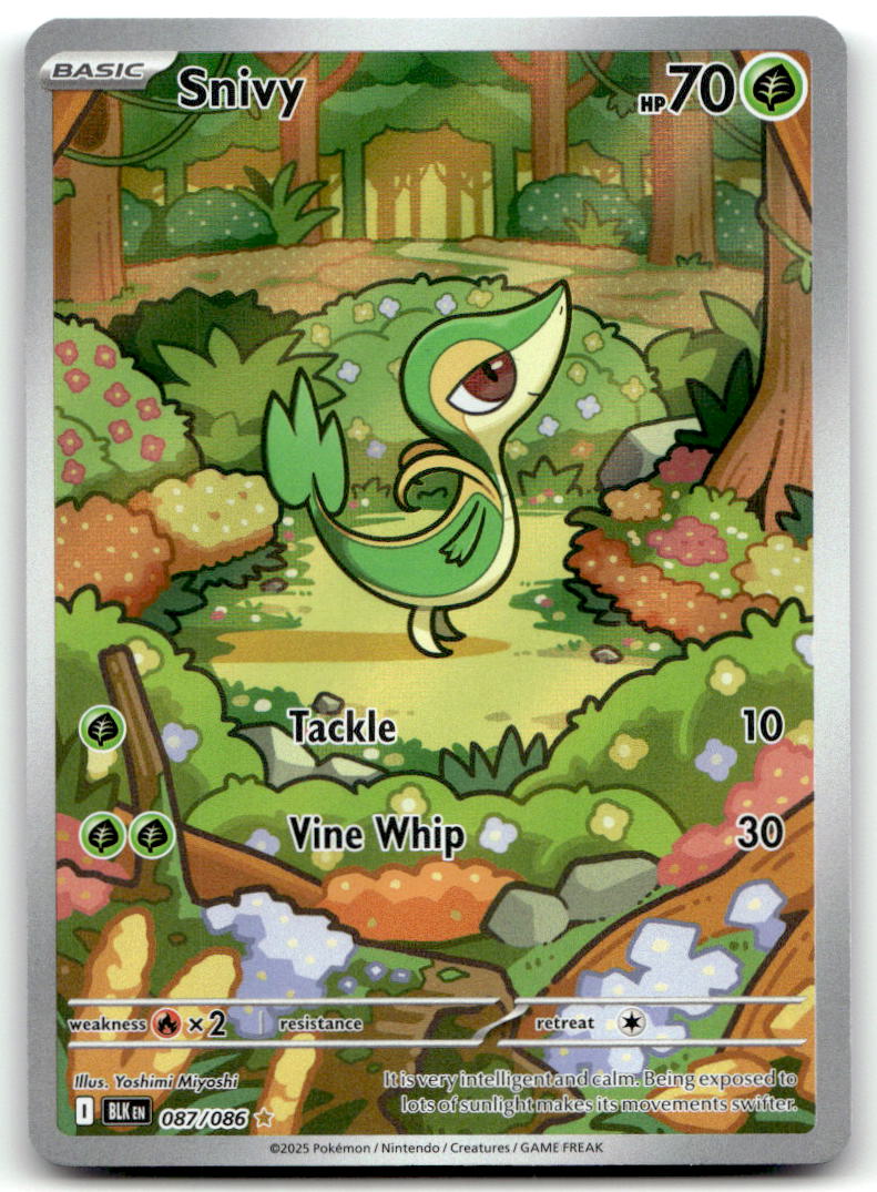 Snivy BLK 087/086 NM