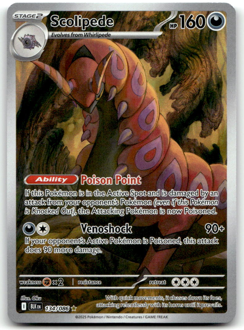 Scolipede BLK 134/086 NM