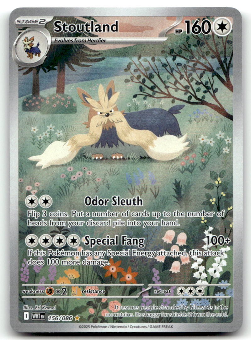 Stoutland WHT 156/086 NM