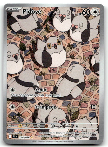 Pidove BLK 148/086 NM