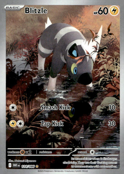 Blitzle WHT 114/086 NM