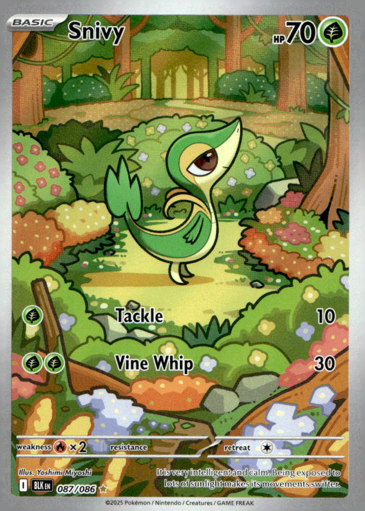 Snivy BLK 087/086 NM