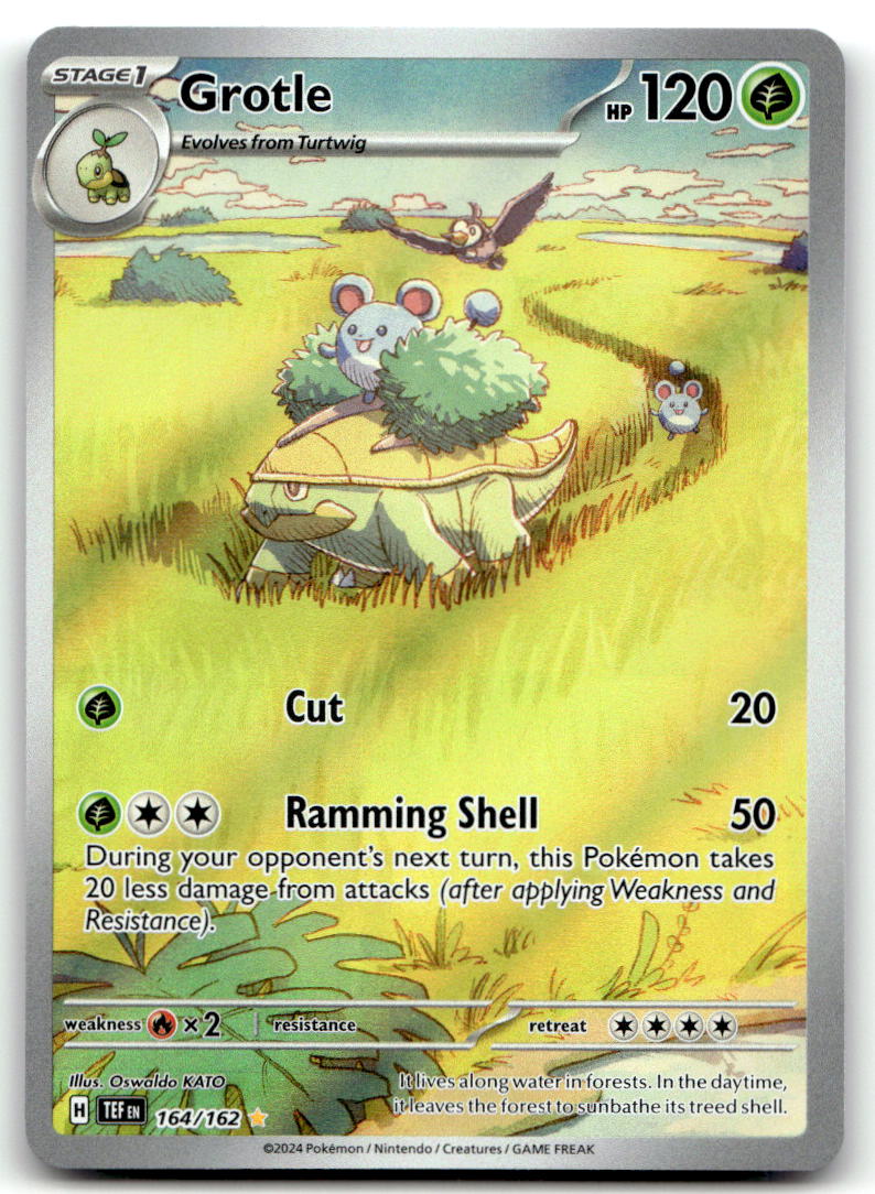 Grotle TEF 164/162 NM
