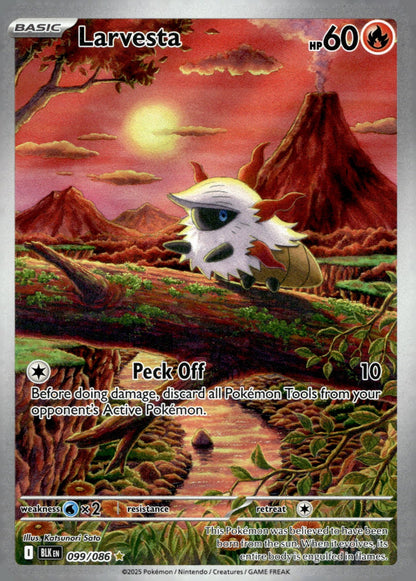Larvesta BLK 099/086 NM